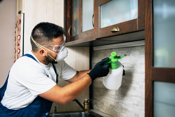 Best Insect Control  in Pine Ridge, PA