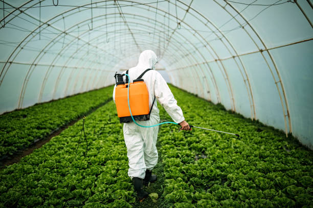 Best Best Pest Control Companies  in Pine Ridge, PA