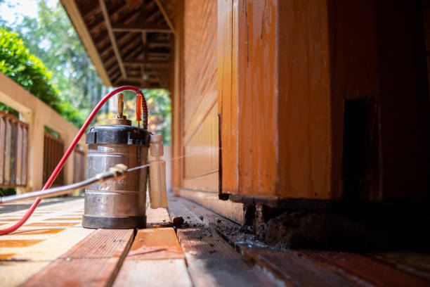Best Affordable Pest Control Services  in Pine Ridge, PA