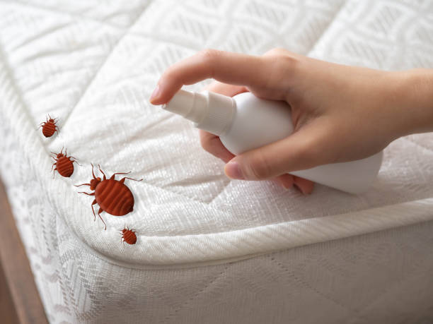 Best Emergency Pest Control  in Pine Ridge, PA