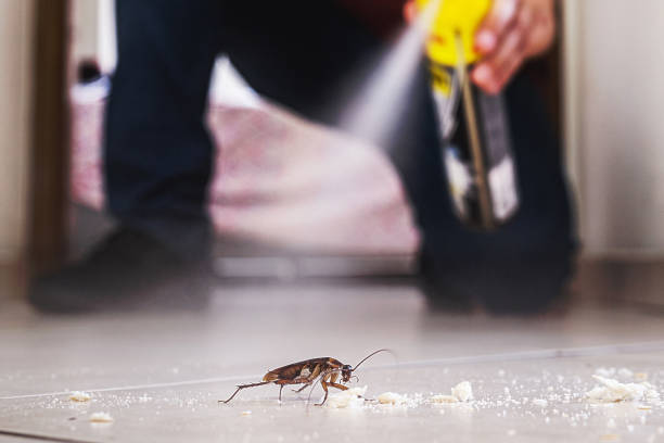Best Pest Control for Homes  in Pine Ridge, PA